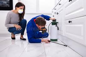 Best Pest Control for Multi-Family Homes  in Dodge Center, MN